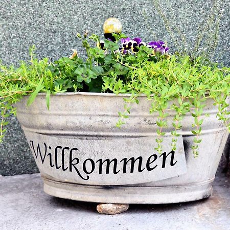 Ferienhaus "Am Gutspark" Alt Tucheband 外观 照片