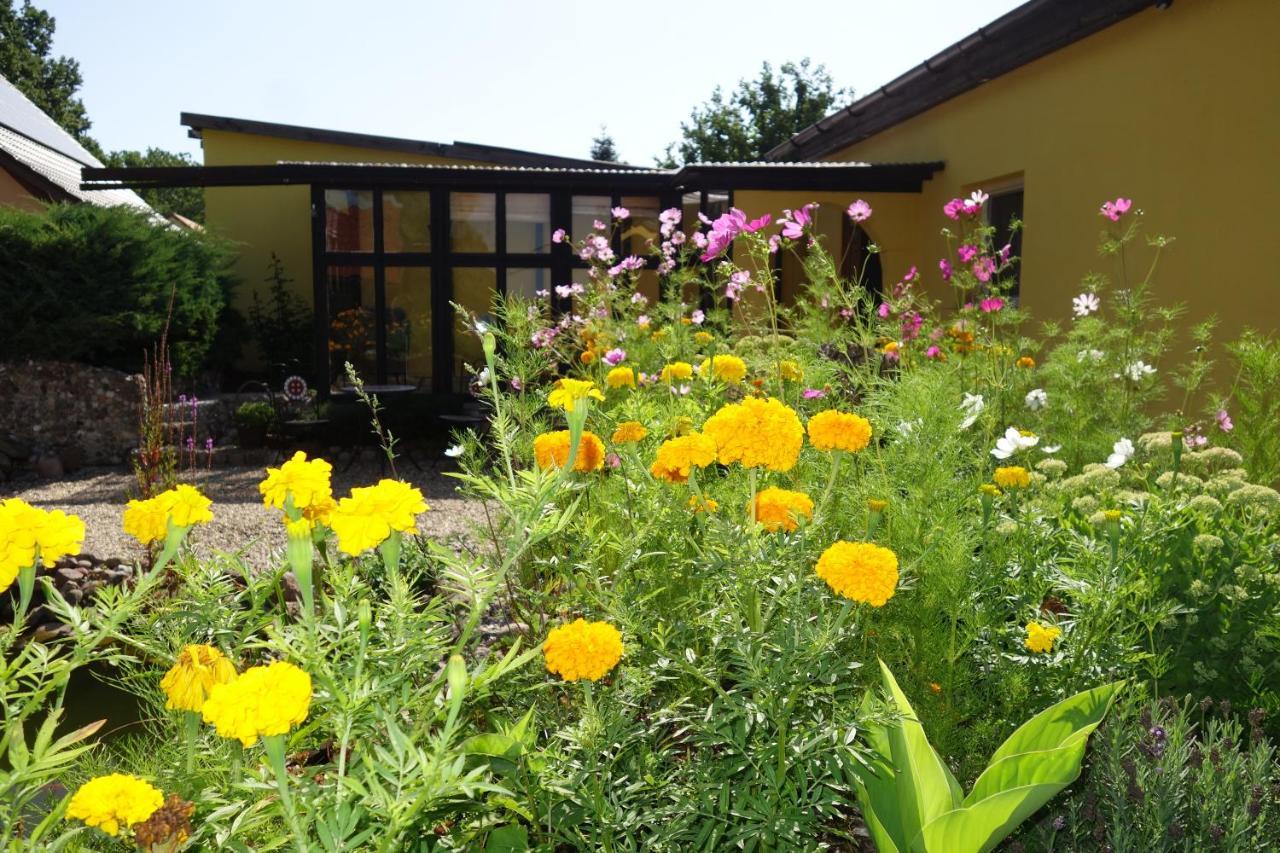 Ferienhaus "Am Gutspark" Alt Tucheband 外观 照片