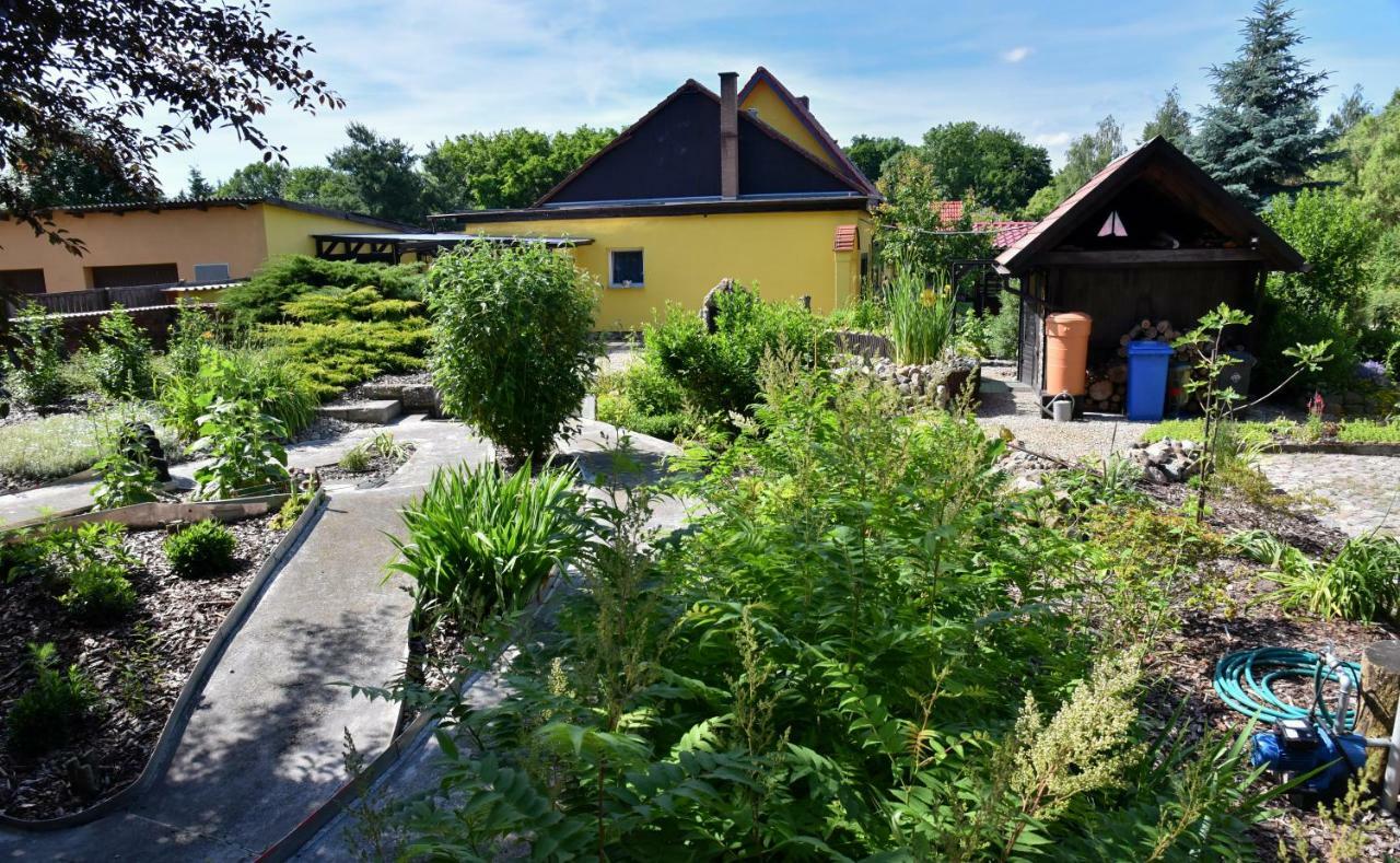 Ferienhaus "Am Gutspark" Alt Tucheband 外观 照片
