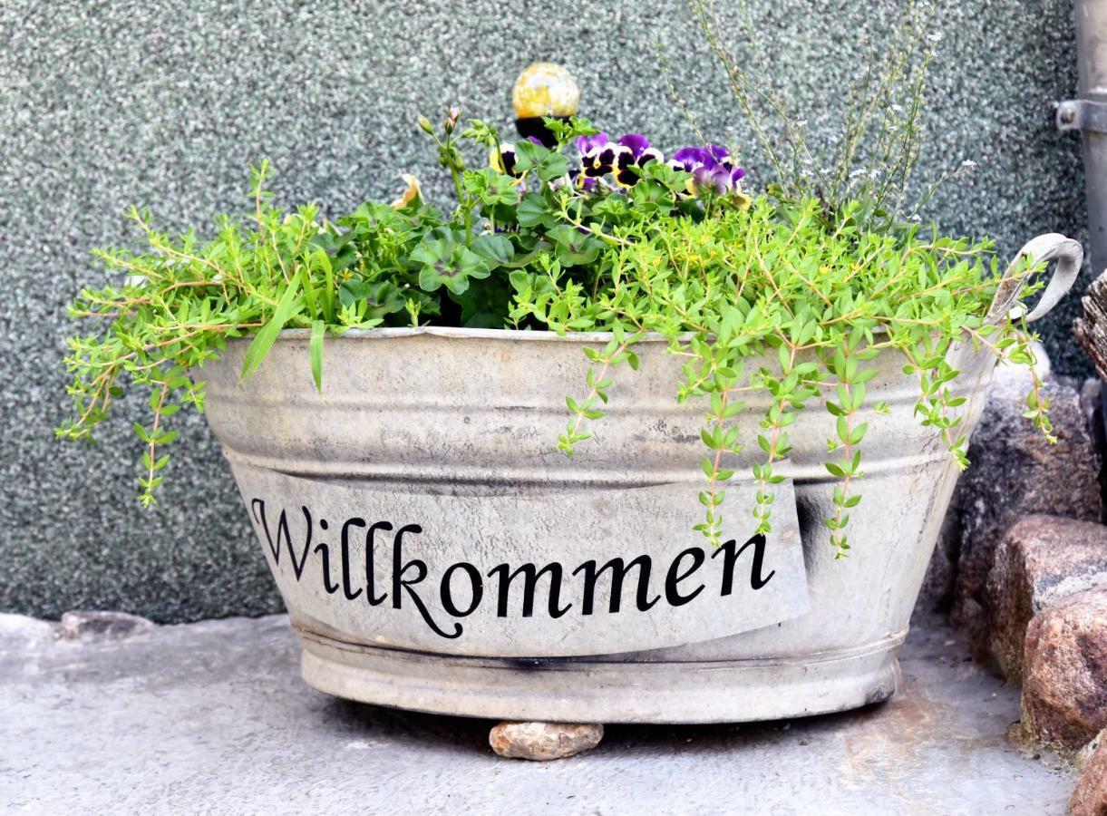 Ferienhaus "Am Gutspark" Alt Tucheband 外观 照片